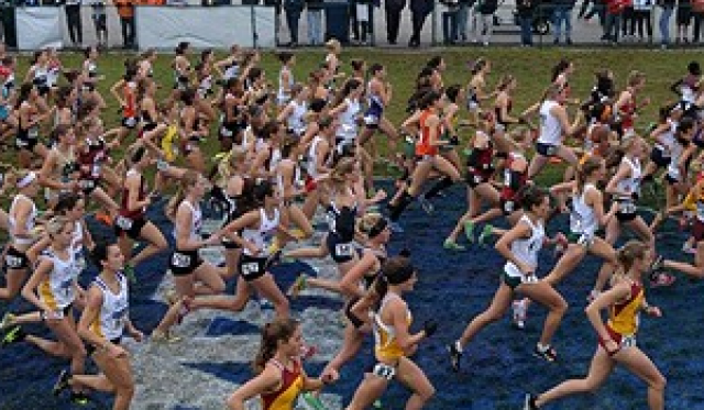 Cross Country weekend preview!
