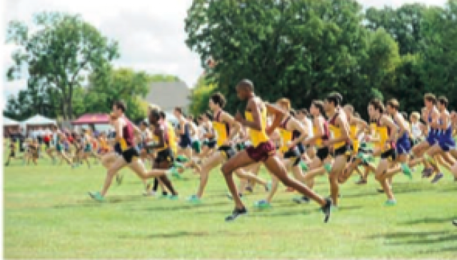 2012 Roy Griak Invitational race results